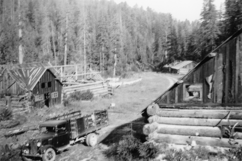 Log cabins in a forested area with a dirt road. A truck is parked near one of the cabins. Tall trees are in the background.