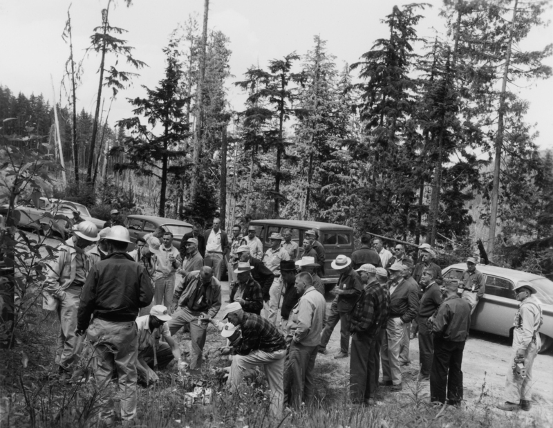 A group of people, including several men wearing helmets, are gathered in a wooded area near a row of parked cars. Some individuals are looking down at the ground, while others are engaged in conversation. Tall trees surround the scene.