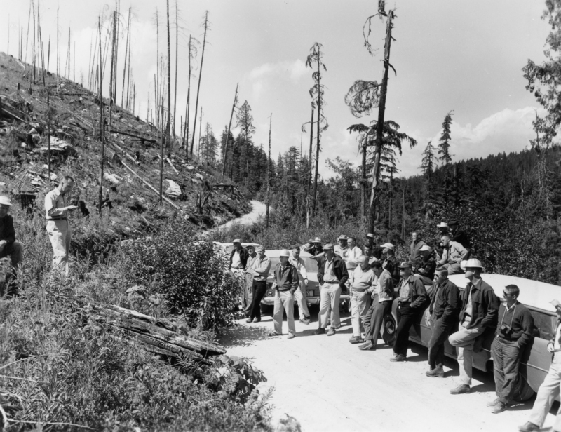 A group of people, mostly wearing hard hats, stands and sits along a roadside with vehicles parked nearby. The road is surrounded by a forested area, some trees appear damaged or cut, and a hillside is visible in the background. One person is standing on the left, appearing to speak or present to the group.