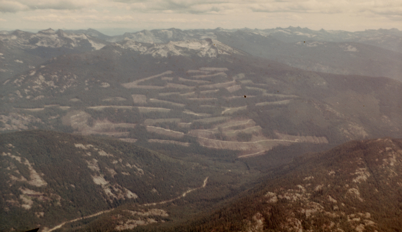 A mountain landscape with several ridges and pathways cutting through dense forests. In the distance, there are peaks of snow-covered mountains under a cloudy sky.