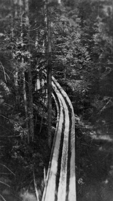 A long wooden log flume winding through a dense forest with tall trees.