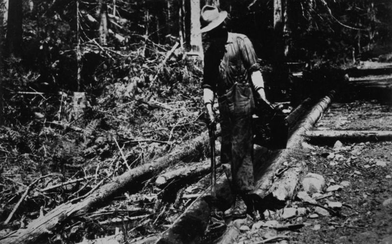 A person stands in a forest clearing, holding a funnel and a container, surrounded by fallen branches and logs.