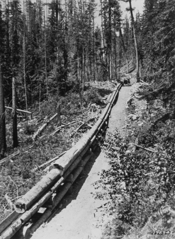 A narrow path running through a forested area with a log chute made of stacked logs on one side. Trees surround the path, and there is a person or small vehicle in the distance.