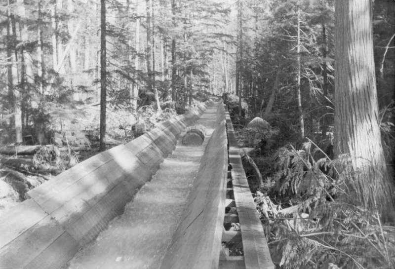 A wooden flume carrying water, surrounded by dense forest with tall trees and underbrush. The flume extends into the distance, flanked by various vegetation.