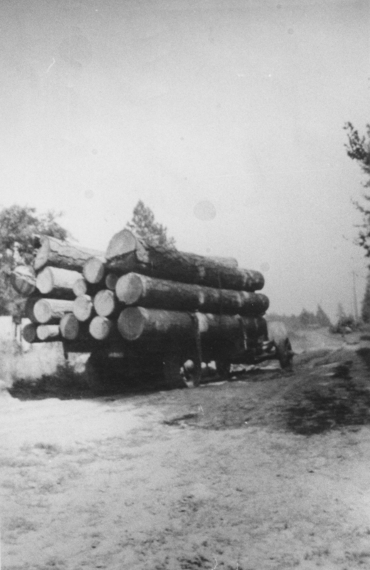 A large cart filled with cut logs parked on a dirt road lined with trees.