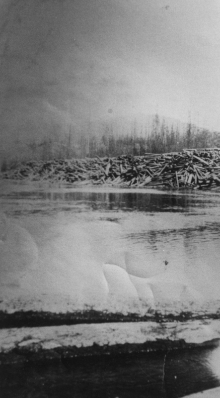 A snowy landscape with a large river in the foreground. In the background, there is a pile of logs and a line of trees.