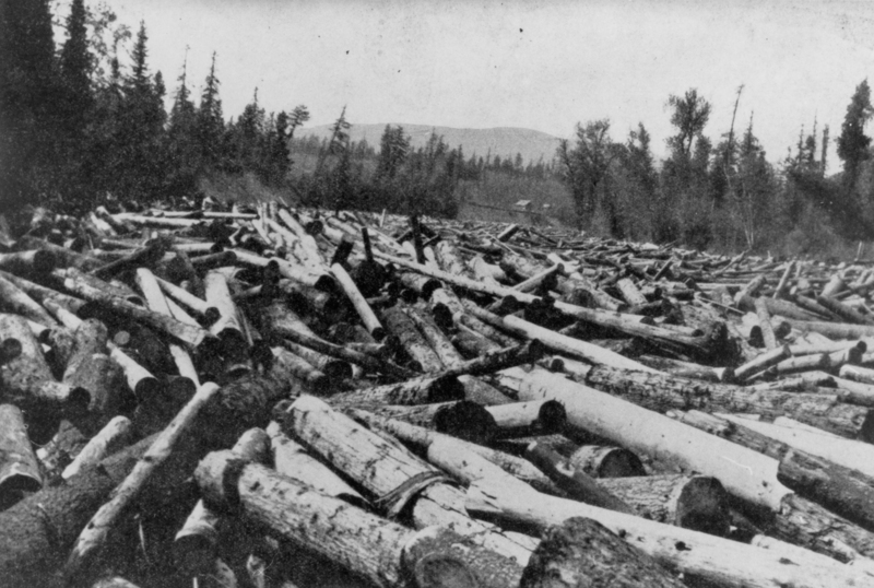 A large number of logs with trees and hills in the background.