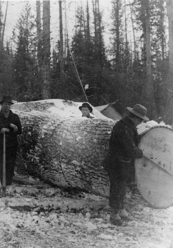 Three men in hats stand near a large cut tree trunk in a snowy forest.