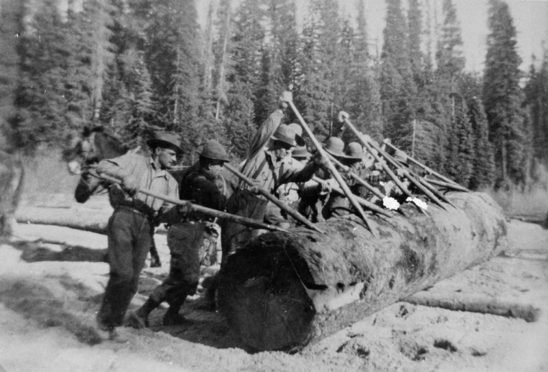 Several men using long poles to move a large log in a forest setting. Trees are visible in the background.