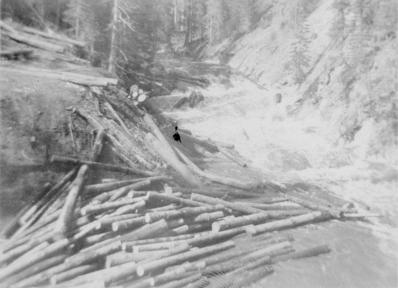 A river flowing through a forested area, with numerous logs scattered on the bank and in the water.