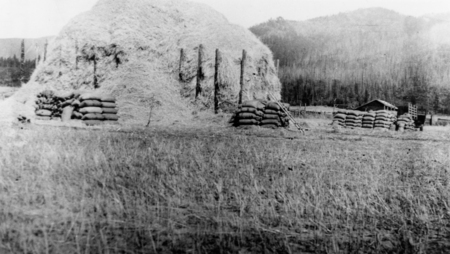 A large stack of hay supported by wooden posts, surrounded by several piles of sacks. In the background, there is a small building and a wooden cart. The area is a field with grass and mountains in the distance.