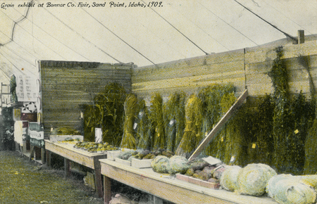 A display of grains and vegetables is arranged on tables inside a tent. Bundles of grain are standing upright against a wooden wall, and various vegetables, including cabbage, are laid out on the tables. There are additional boxes and fabrics visible along the side. Handwritten text on photo reads: "Grain exhibit at Bonner Co. Fair, Sand Point, Idaho, 1909."