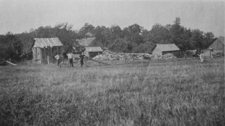 A grassy field with three people standing near a wooden fence. Several small wooden buildings and piles of logs are in the background, with trees surrounding the area. A horse is grazing in a fenced area on the right.