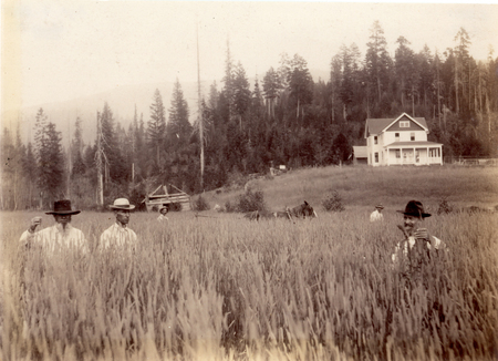 Several men stand in a field of tall grass, each wearing a hat and a long-sleeved shirt. In the background, a white house is visible at the edge of a forest with tall trees. A horse-drawn plow can be seen near the edge of the field.
