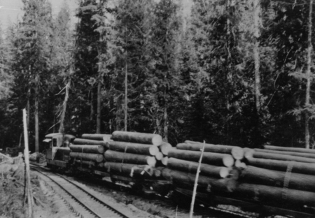 A train transporting large logs moves along a railway track in a forested area. Tall trees surround the scene.