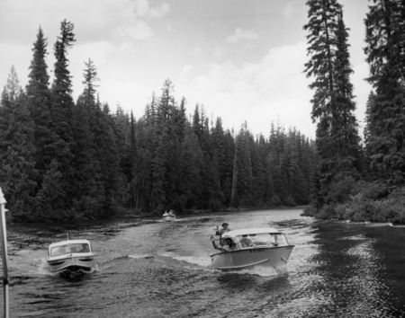 Two motorboats moving on a river surrounded by tall evergreen trees, with a cloudy sky above. "ID 310 E" printed on closest vessel.