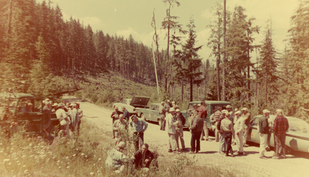 A group of people gathered on a dirt road in a forested area. Several cars, including one with an open hood, are parked nearby. Some individuals are talking, while others appear to be observing the surroundings. Tall trees and a clear sky are in the background.