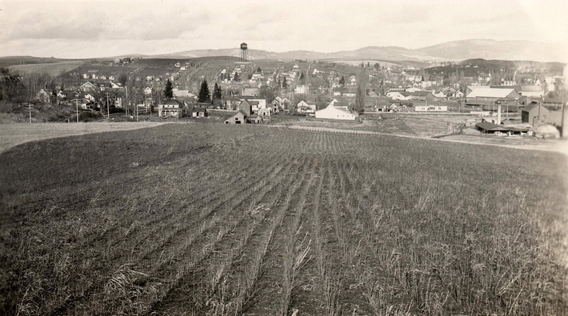 Fields with residential area and water tank in background.