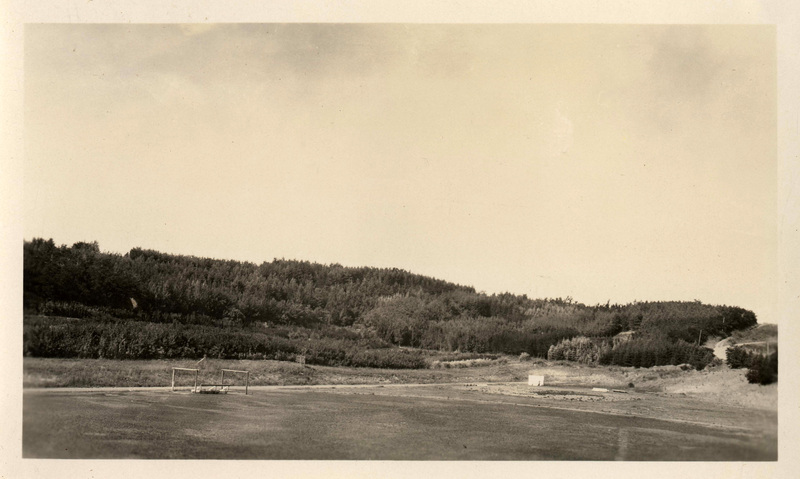 Field with densely planted hillsides with a variety of trees, possibly arboretum nursery.