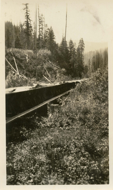 An elevated log flume transporting lumber in Coeur d'Alene National Forest through a densely vegetated area with trees in the background.