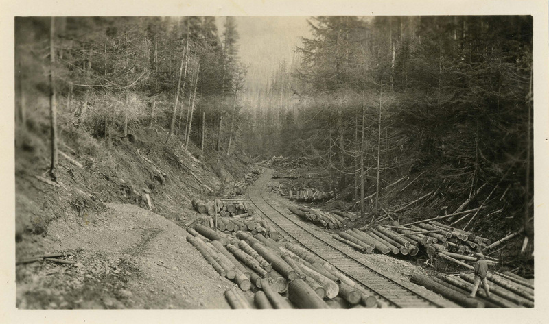 Cut logs decked (stacked) along railroad at the bottom creek branch of Burnt Cabin Creek. A man is standing on the logs in the bottom right, looking up the rail line. 