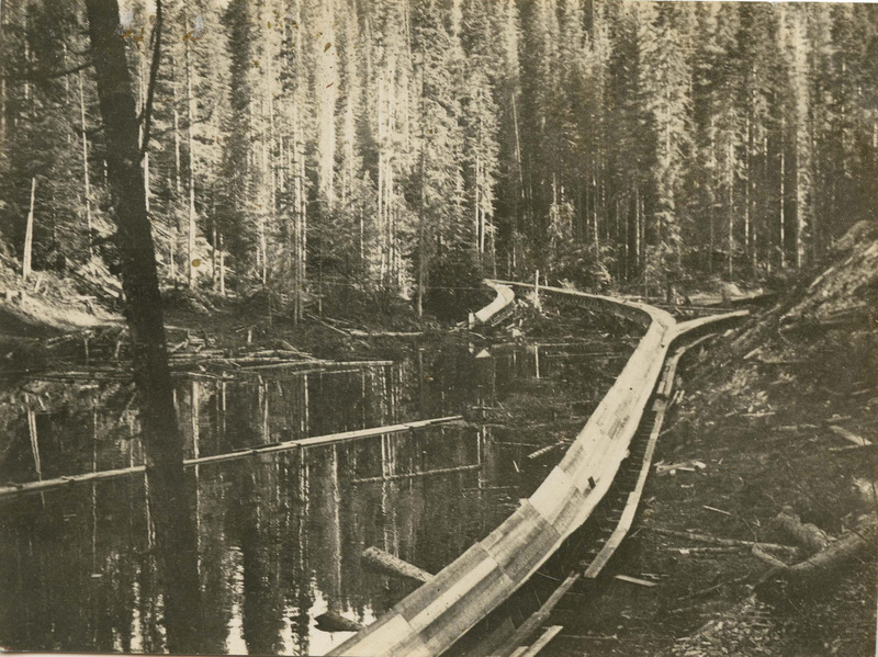 Text cut off on back of image. ? flowage and flumes from Camp 3 and 6, third? right goes through to river. Leiberg Creek, Little North Fork Coeur d'Alene River. Main flume is adjacent to river, with dense forested area in the background.