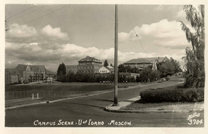 Brink Hall (left), Morrill Hall(Center top), College of Art and Architecture(2nd from right), Life Sciences south (right), from corner of University Avenue and Rayburn Street.
