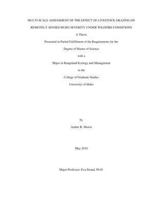 Thesis by Amber Morris concerning Remote Sensing, Grazing, Fire and other subjects