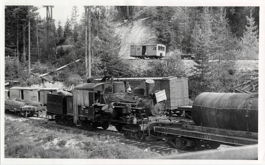 A photograph of several stationary freight trains amongst mountainous terrain. Located in Headquarters, Idaho, Potlatch Forest Industries.