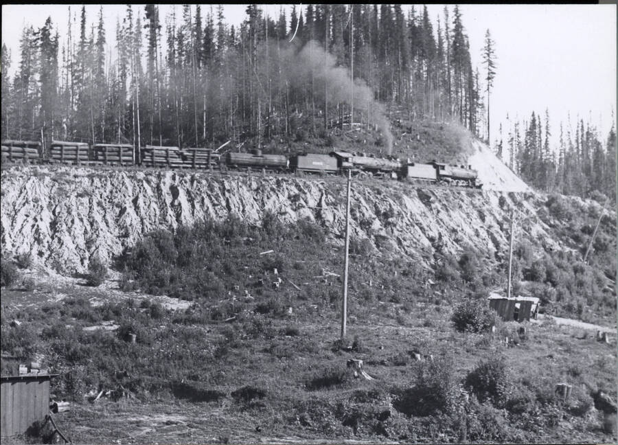 A photograph of a freight train moving along a man-made hillside with a coniferous forest in the background and sparse grasses in the foreground