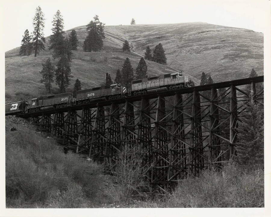 Train Engine 2037 beginning the ascent at Lapwai Canyon on its way to Grangeville, Idaho.