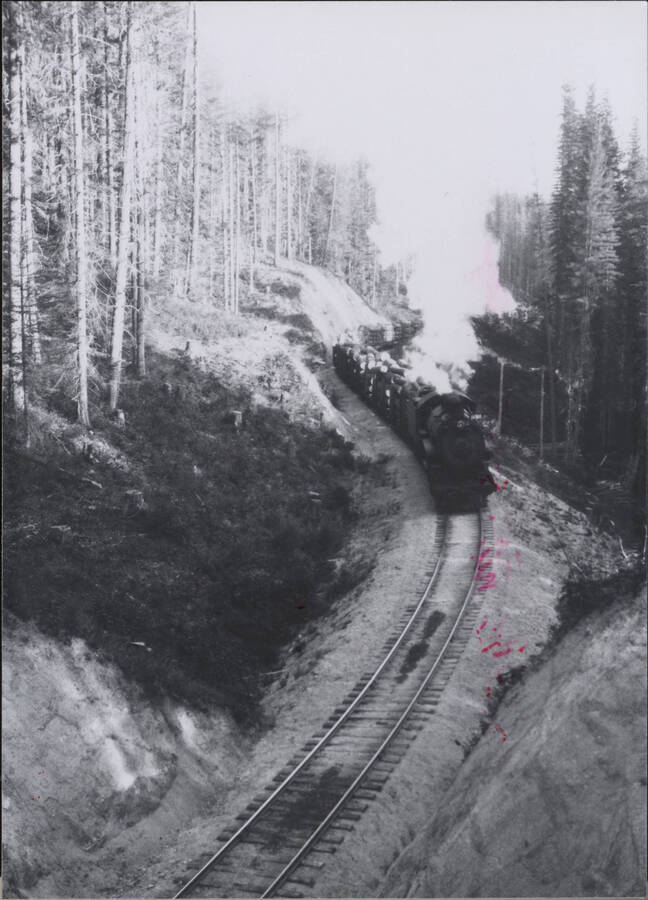 A photograph of a freight train moving down a mountainous hillside, surrounded by coniferous trees on either side. Located '3 and 1/2 miles South of Headquarters'