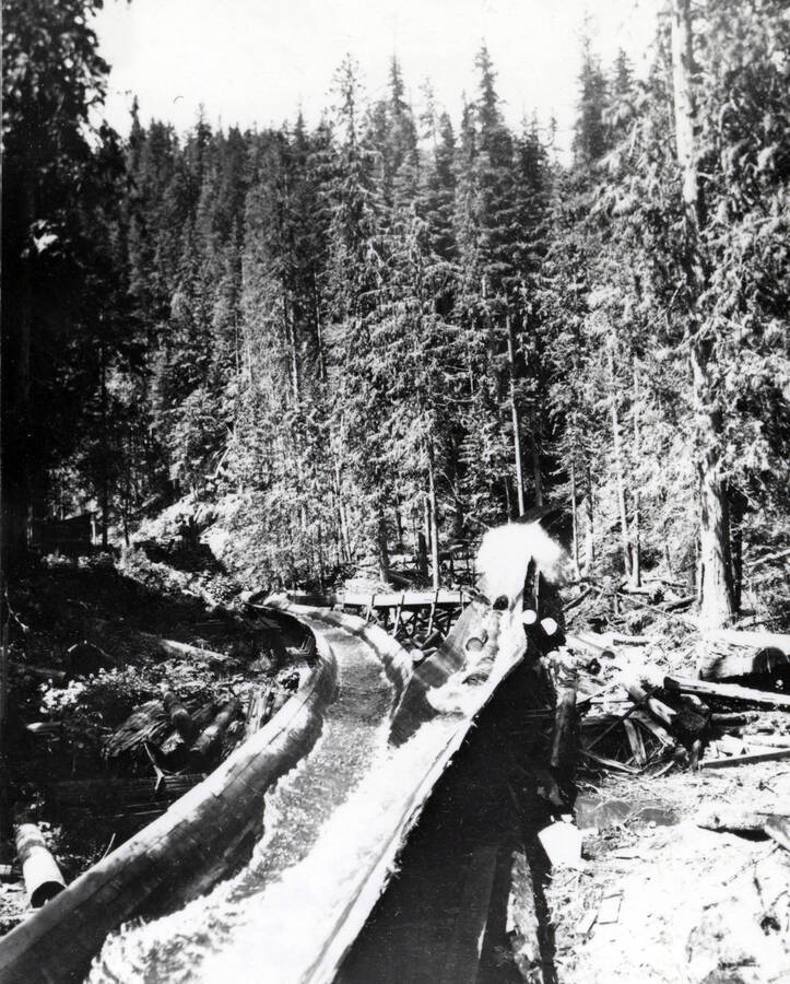 A photograph of the construction of a railroad in Potlatch, specifically a log chute transporting water and lumber, as part of the Clearwater Unit of Potlatch Forests, Inc.