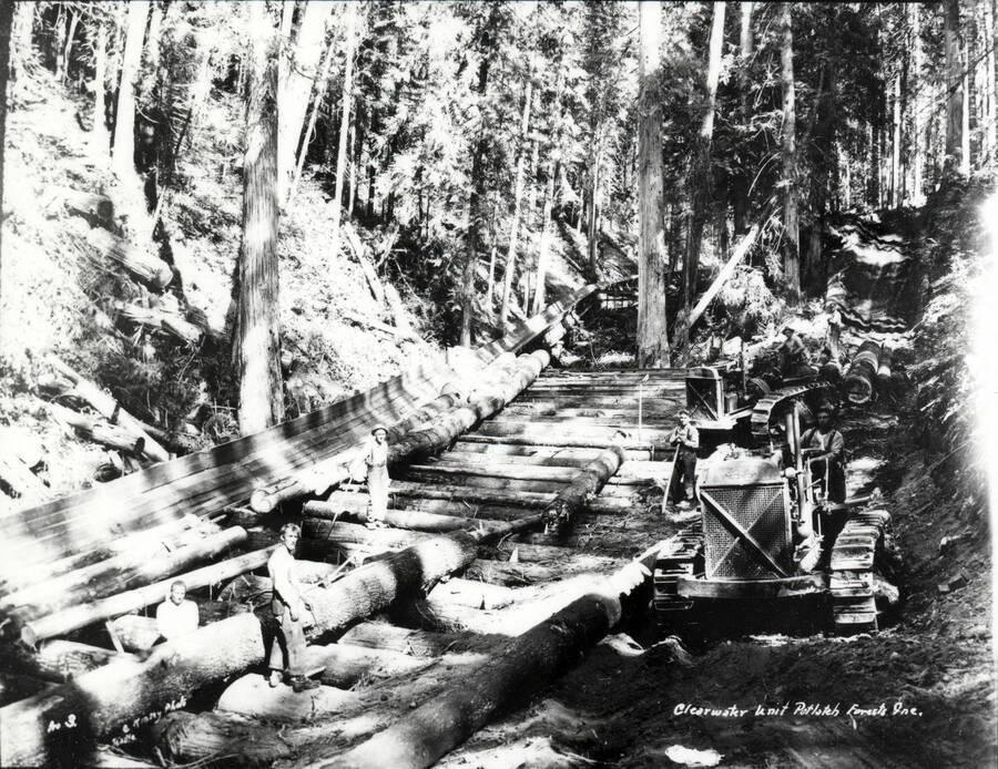 A photograph of the construction of a railroad in the Clearwater Unit of Potlatch Forest, Inc. near Potlatch.