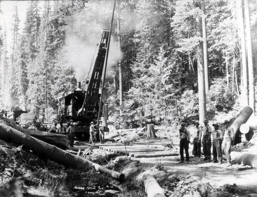 A photograph of the construction of a railroad in Potlatch.