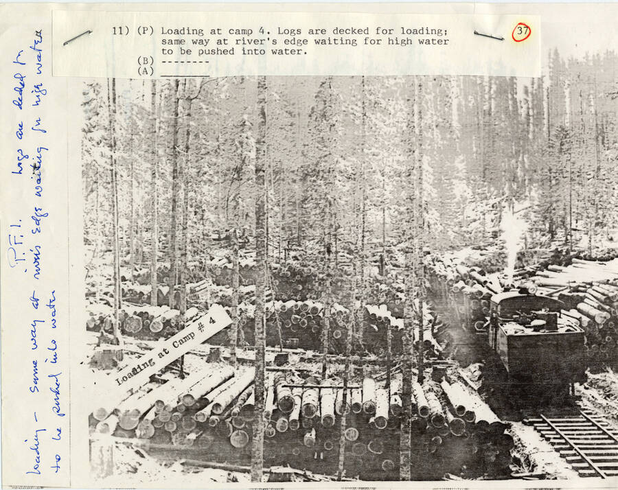 A paper copy of a photograph of the loading of lumber onto a freight train at camp 4 in Headquarters, Idaho. Logs are decked for loading the same way that, at a river's edge, there is waiting for high water to be pushed into the water.