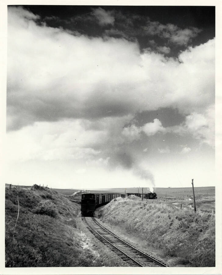 A photograph of the Extra 1521 West Train moving through the Camas Prairie near Craigmont, Idaho.
