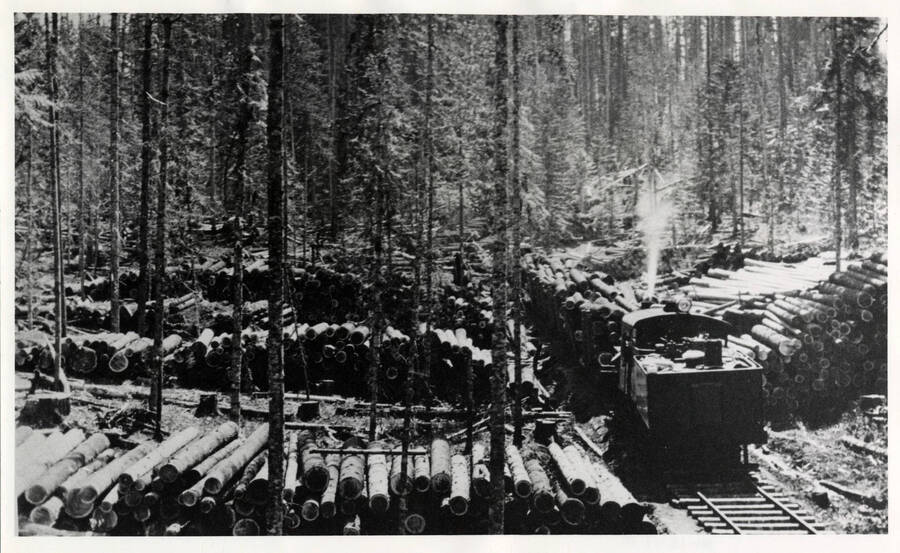 A photograph of log loading occurring at camp #4. Logs are decked for loading.