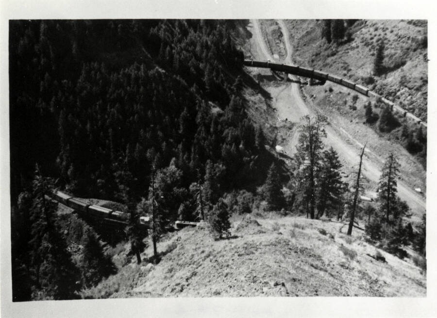 A photograph of a freight train weaving through the mountainous Idaho forests. The picture is taken from quite high atop a hill or mountain, almost from a bird's eye view.