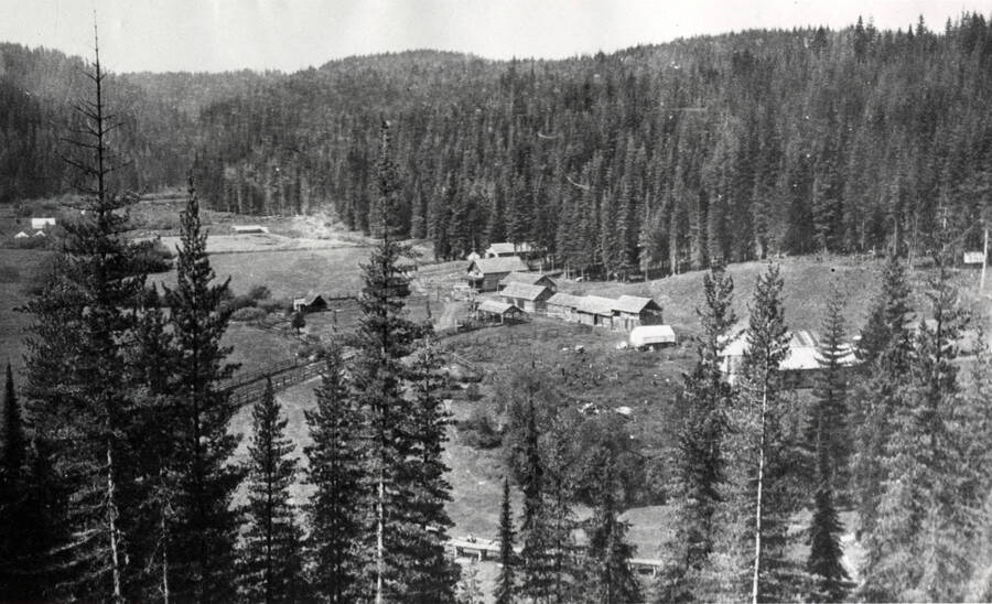 A photograph of a landscape view of Headquarters before the logging operation was integrated there.