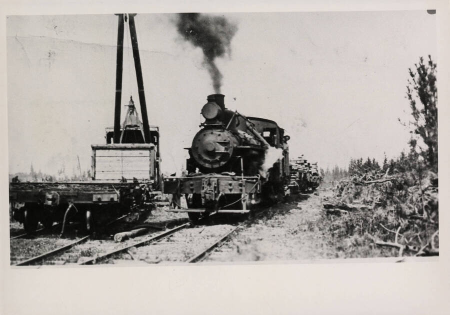 Craig Mountain Railroad Co.'s Heisler Engine #2 carrying a freight of lumber.