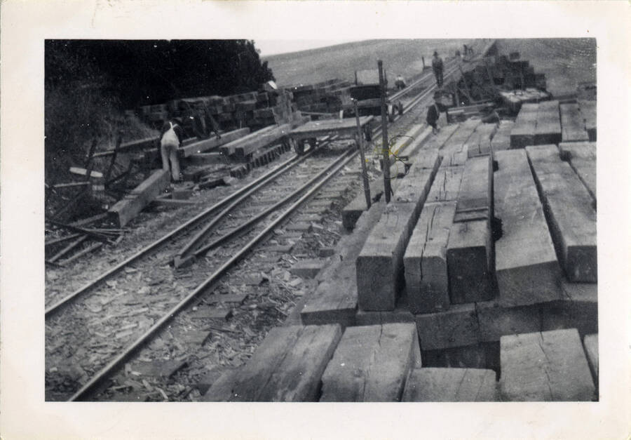 A photograph of the construction of Bridge 38, located between Craigmont and Ferdinand. The photographs shows workers assembling the log scaffolding that holds the bridge up.