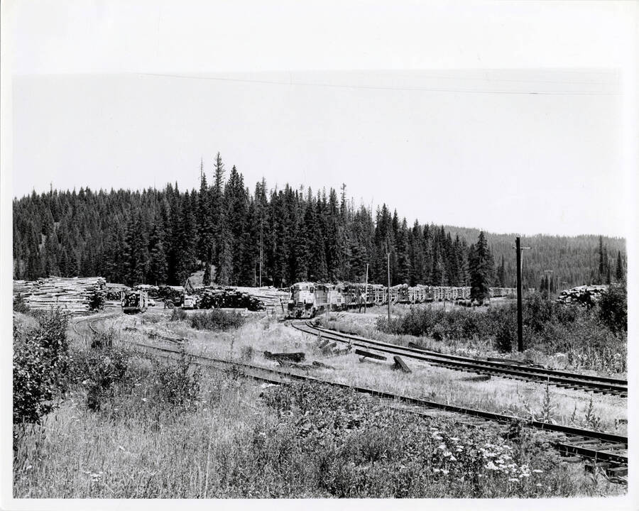 The Headquarters Logger rolling downgrade past the log loading facility at Revling Spur between Summit and Jaype.