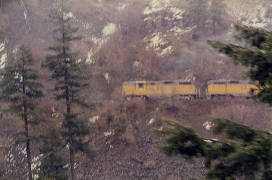 A color photograph of a freight train going around a bend in the woods.