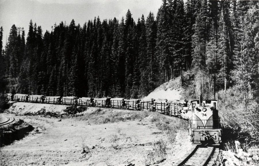 A photograph of log train #74 transporting lumber to Arkansas Hardwood Mill in the mid-1960's.