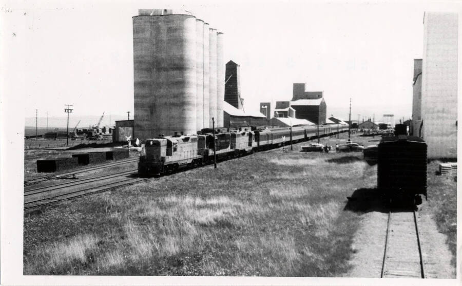 A photograph of a passenger train in Grangeville, ID. This is a 'special train sponsored by Lewiston Lions Club. Believe this to be the last passenger train operated by CP.'