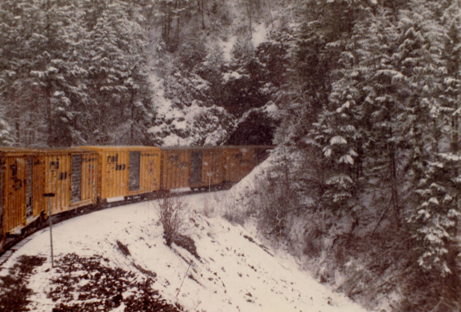 A color photograph of a freight train going into a tunnel in a snowy wooded area.