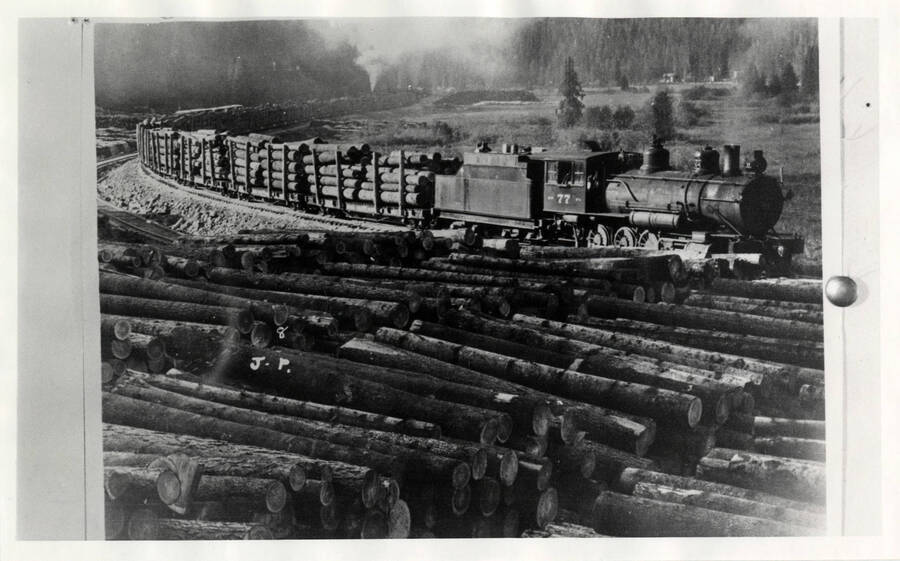 A photograph of a train transporting large amounts of timber. In the foreground are large stacks of logs waiting for transportation.