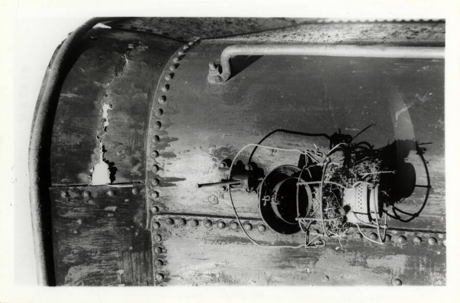 A close-up photograph of a lantern marker on Train Engine 4, overrun with bird nests.