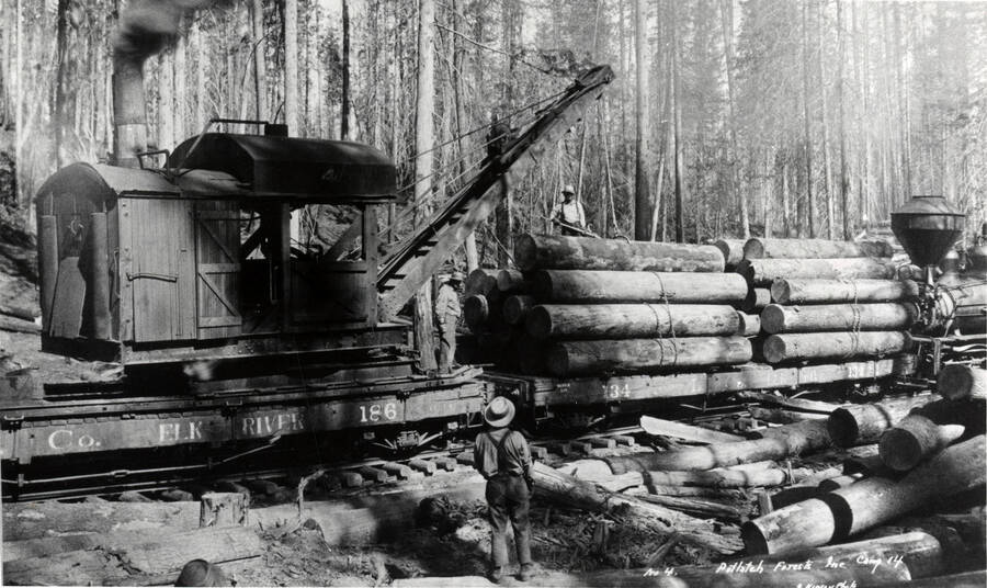 A photograph of lumber workers loading white pine logs with a pair of railroad tongs at Camp 14 for Potlatch. Near Bovill, Idaho.